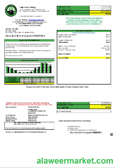 USA Colorado Holy Cross Energy business utility bill template in Word and PDF formats